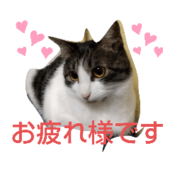 mimi_20210314102632