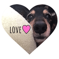 saori_20210313222239