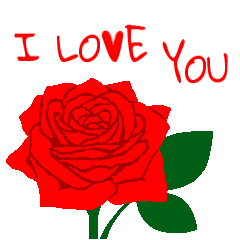 " I LOVE YOU "  Red roses/ Flower