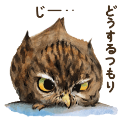 Kura's owl stickers