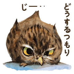 Kura S Owl Stickers Line Stickers Line Store