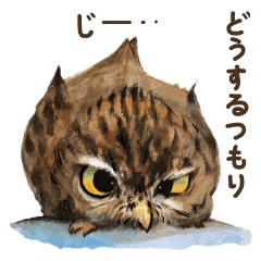 Kura S Owl Stickers Line Stickers Line Store