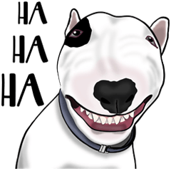 Bull Terrier versi bahasa Inggris