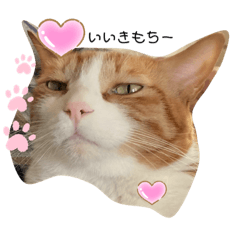 HIKARI Tokuda_20210314152351