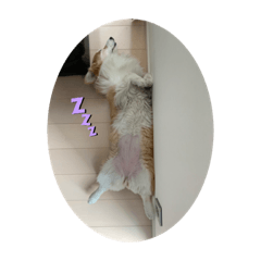 arisa_20210314153132