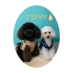miki_20210314162224