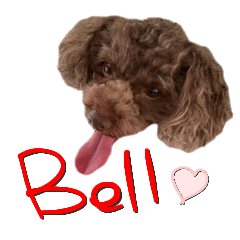 ToipuBellchan
