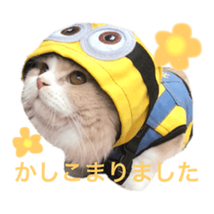 飲み物 Lineクリエイターズスタンプまとめ Stamplist 飲み物 Lineクリエイターズスタンプまとめ Stamplist