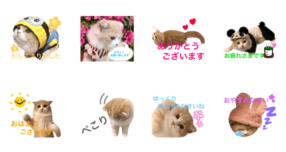 敬語ロイヤルミルクティーくんのスタンプ Lineクリエイターズスタンプ Stamplist 敬語ロイヤルミルクティーくんのスタンプ Lineクリエイターズスタンプ Stamplist