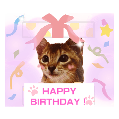 cherry_20210314155840