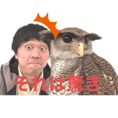 tepeiman_20210314182934