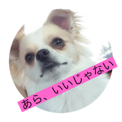 ahyzmk0627_20210314203101