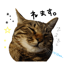 erika_20210314223500 – LINE stickers | LINE STORE