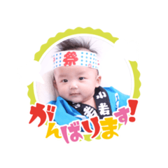 shujiii