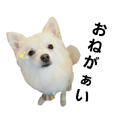 NANAMI_20210314234202