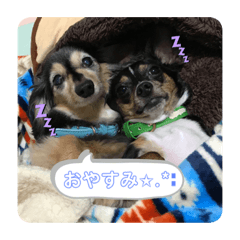 kero_20210314183557