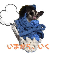 hachiba_20210314175527