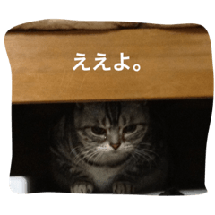 Neko Bu