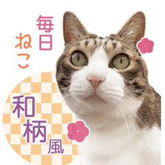 キジトラ白 チャトラ 和柄風 毎日ねこ4 Line スタンプ Line Store