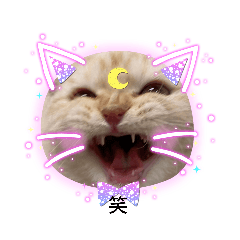 kanae_20210315111046