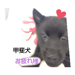 kanae_20210315113917