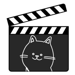 The grey cat is a film crew