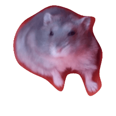 hamster named Jikou