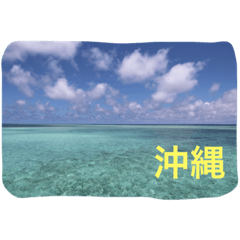 沖縄の海と海中の生き物