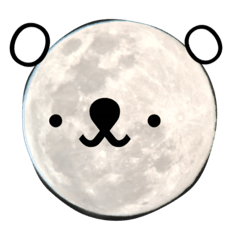 moon bears