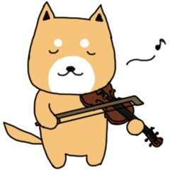 violin and shiba-inu