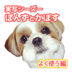 シーズー犬ぽんずとかぼす よく使う編 Line スタンプ Line Store