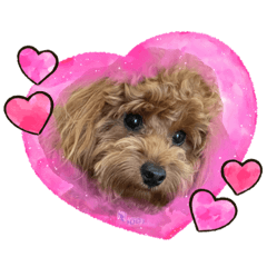 tomomi_20210315173123