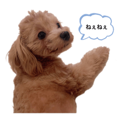 hafuhafu_20210315182142