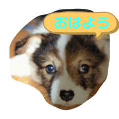 ayumi_20210315231558