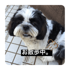 yukina_20210315204505