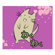 COCOME 2 CAT ENJOY