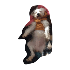 komatu