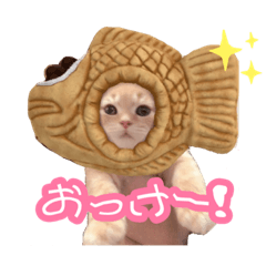 mizuki_20210315221826