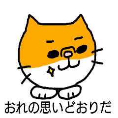 shitomi's cat mochi