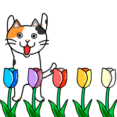 NUNYO CAT MOVING3 Because It's Spring-K