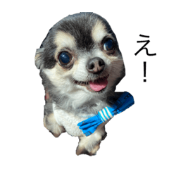 arisa_20210316084049