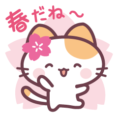 Spring greetings from Sakura Cat