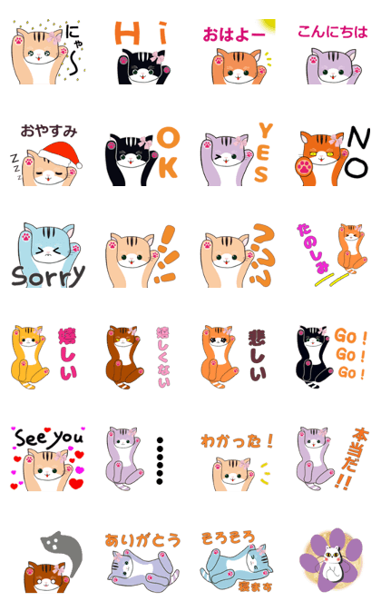 Nicole Cat.