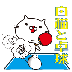 White cat and table tennis