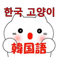 韓国語のかわいい白猫（韓国語と日本語）