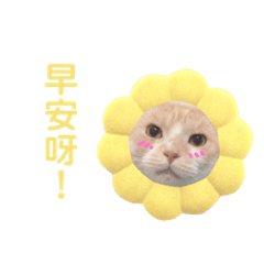 嚕嚕表情包第二彈ʕ •ᴥ•ʔ