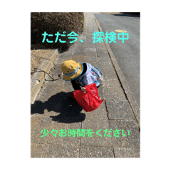 Risa_20210316133856