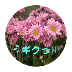 BEE_20210316131721