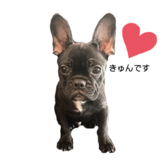 Natsumi_20210316140216