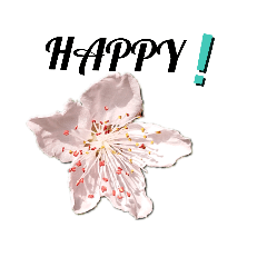 hana_20210316150745